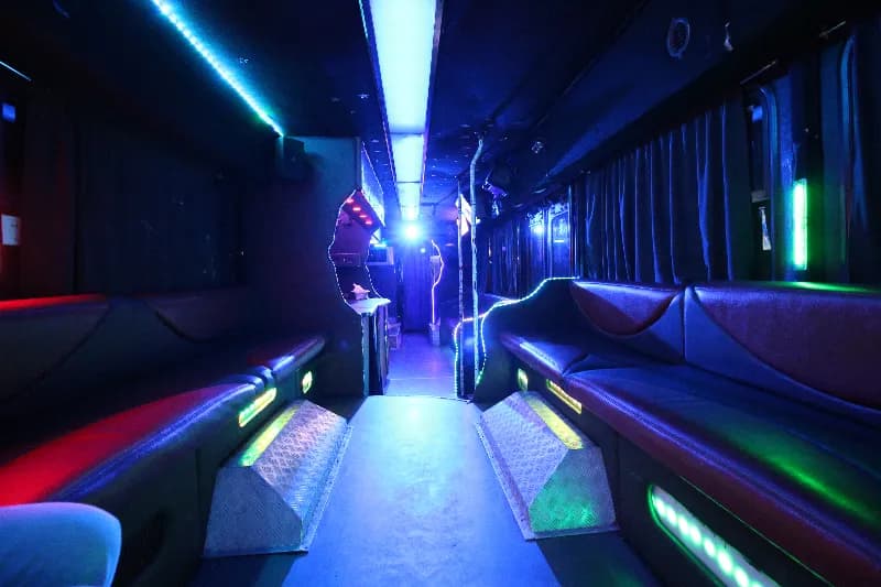 Fashion Bus