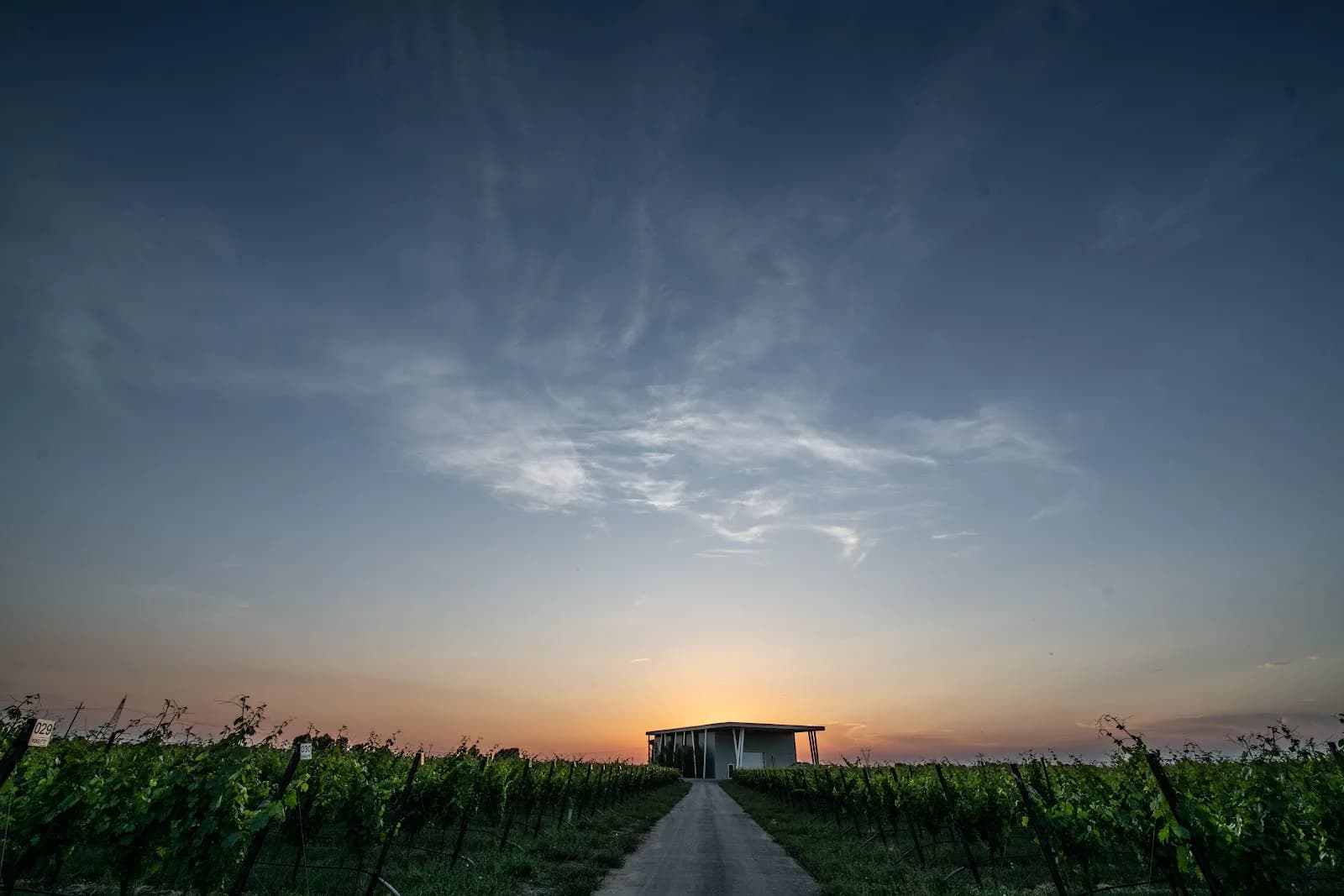 Cantina Ventiventi