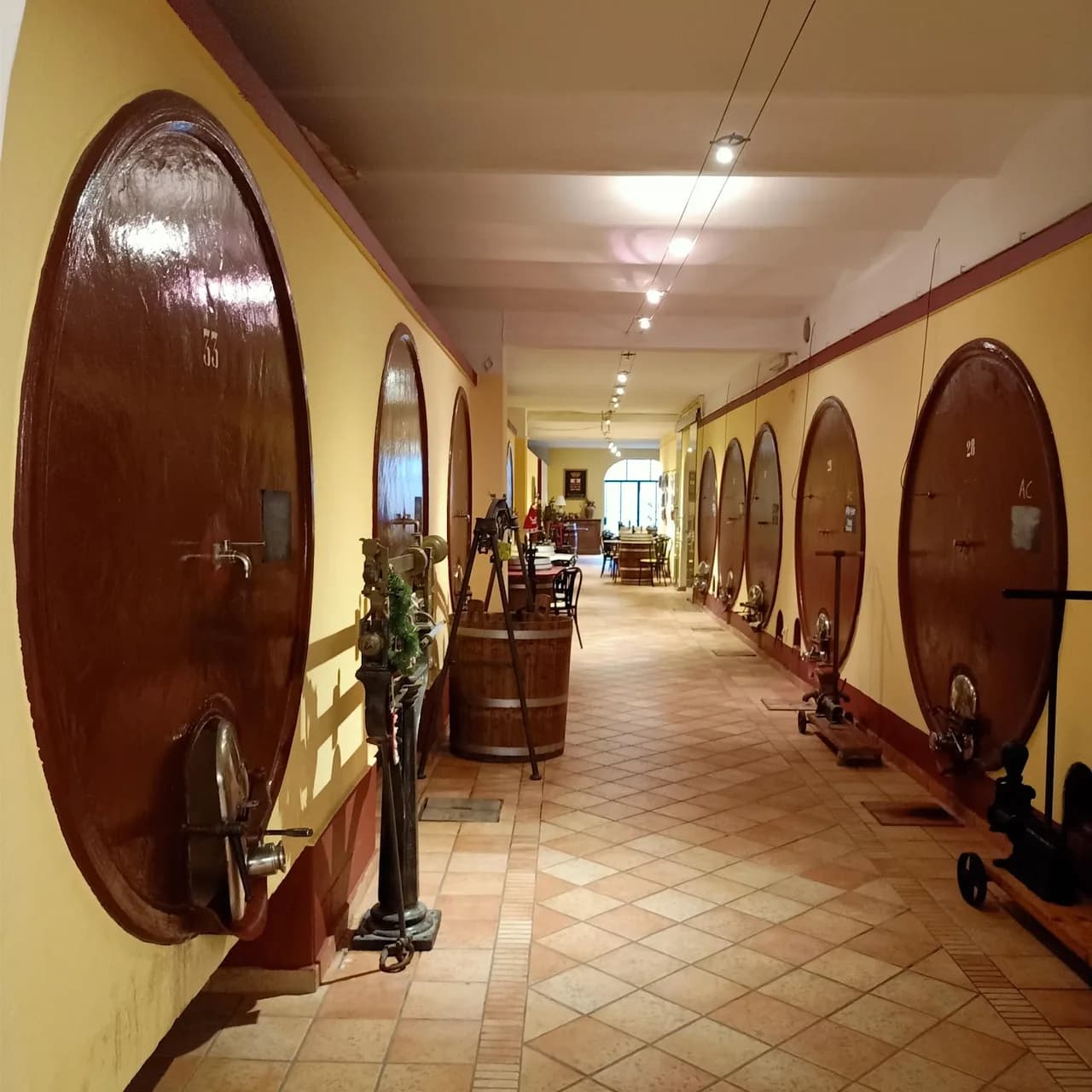 Antica Cantina Leonardi