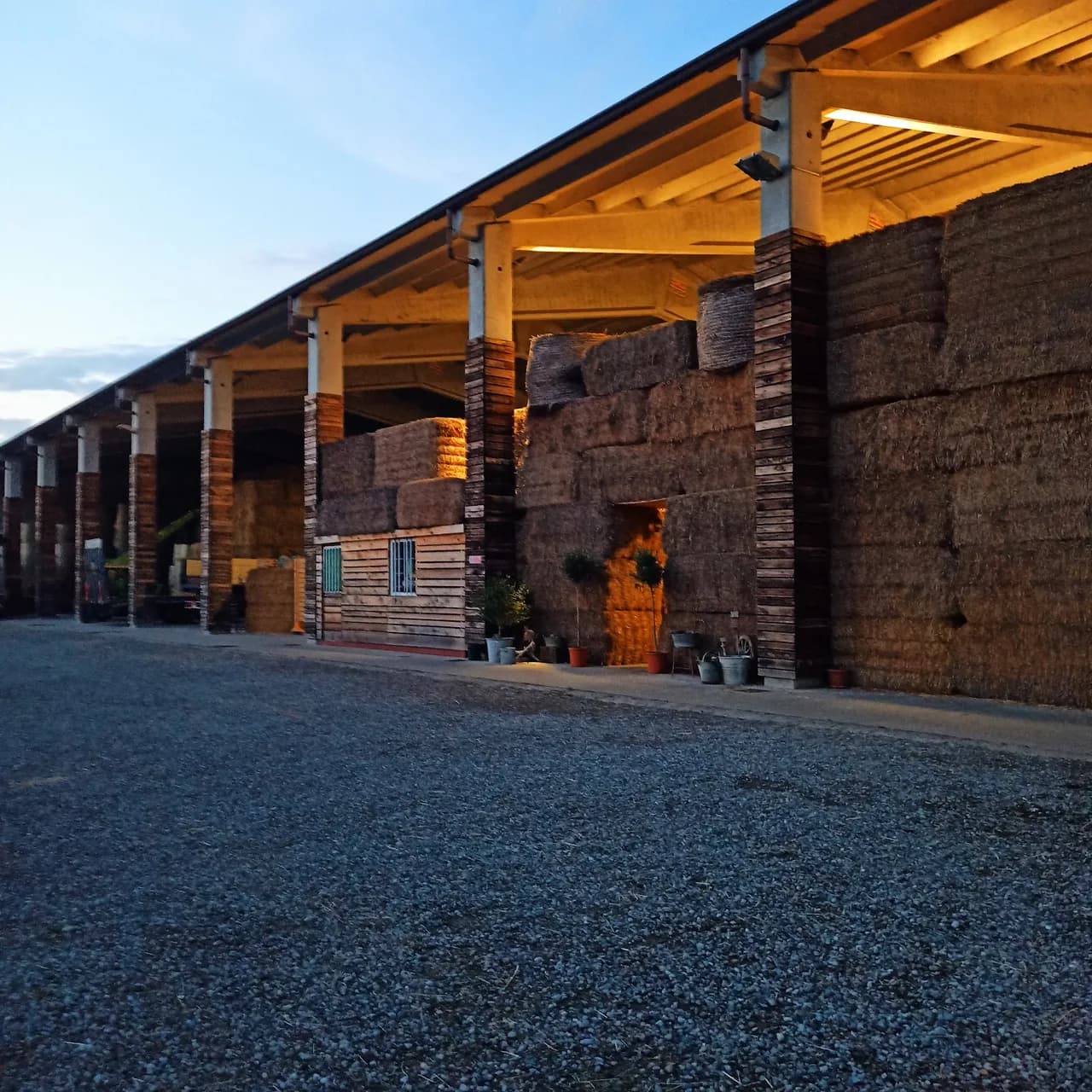 Asinoteca