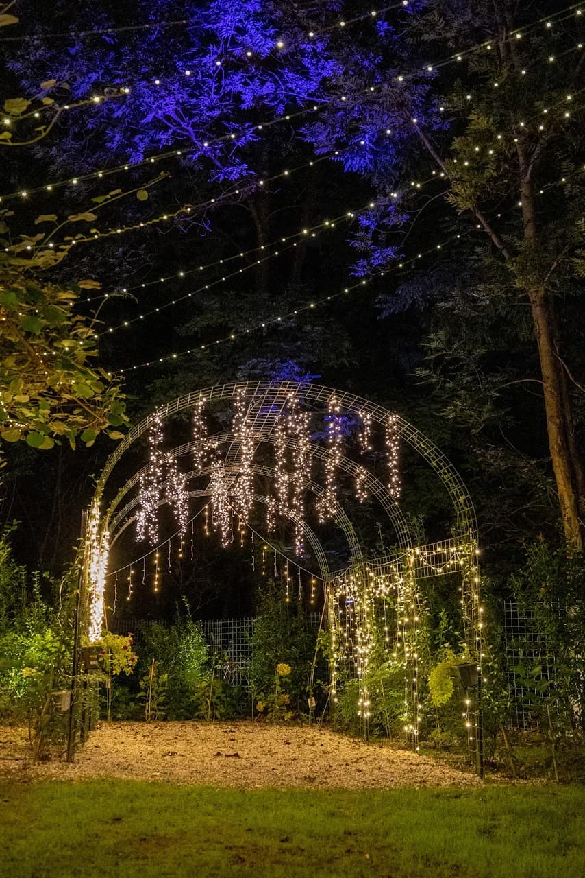 Aura Garden