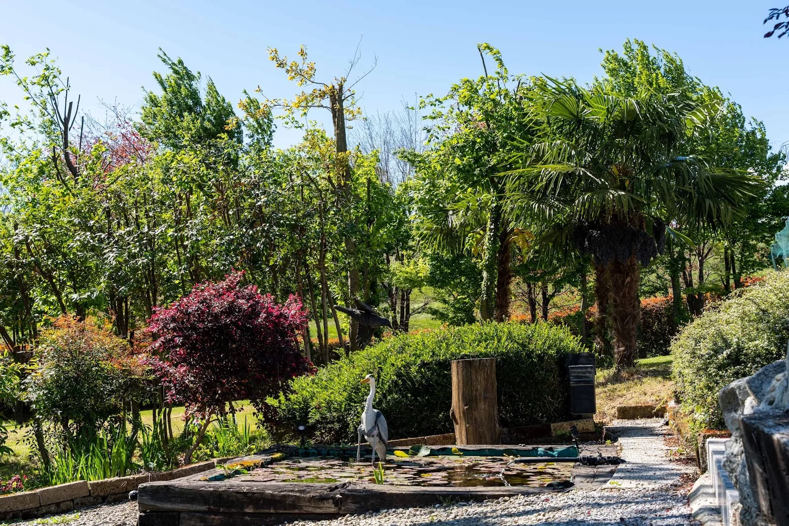 Aura Garden