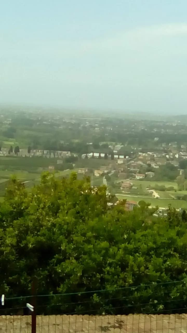 Barone Di Brancato