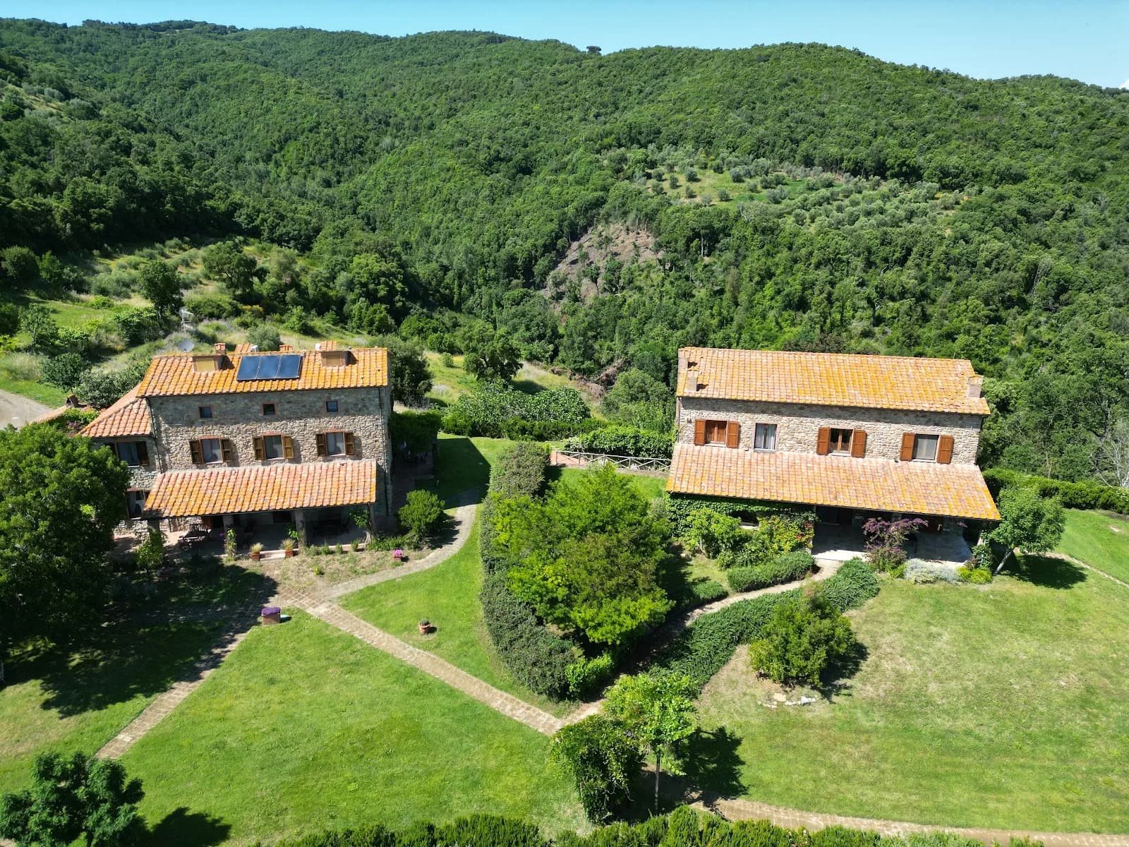 Boschi Di Montecalvi