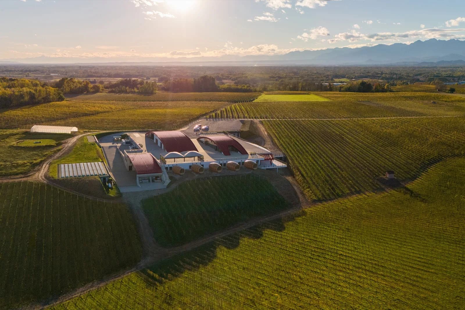 Cantina La Piemontina
