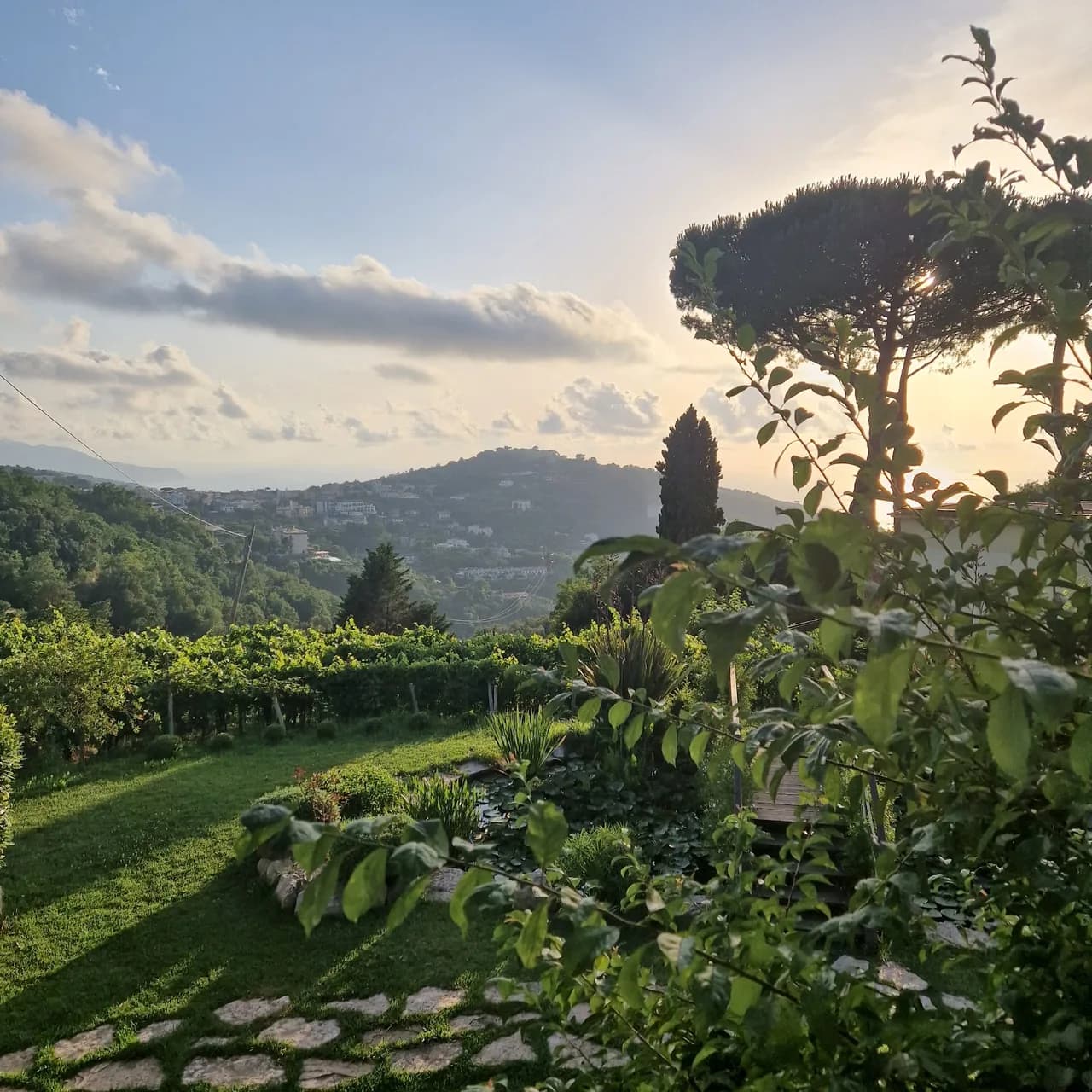 Castore Sorrento
