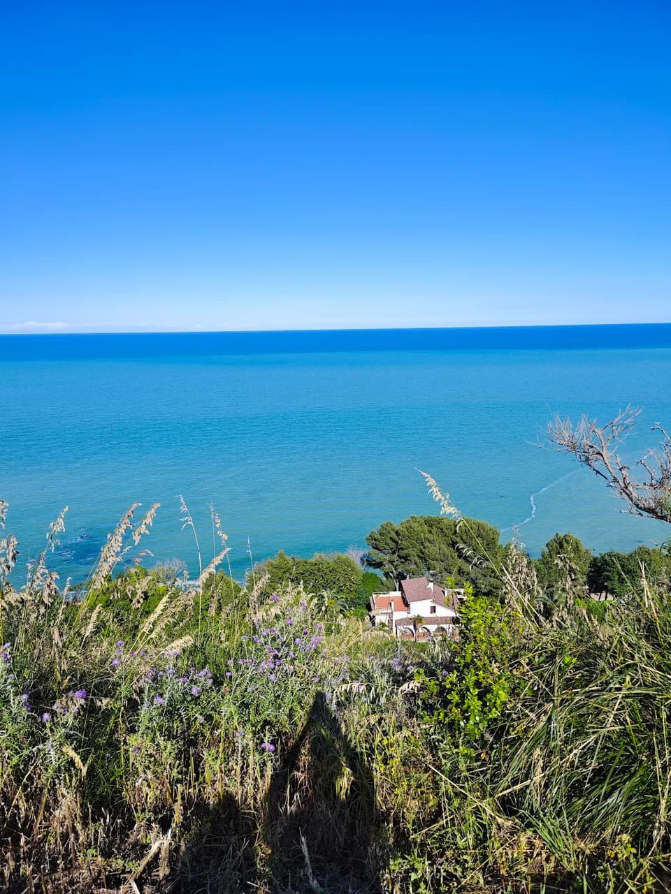 Contea Dei Ciliegi