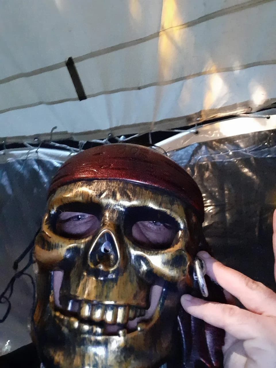 El Pirata Boat