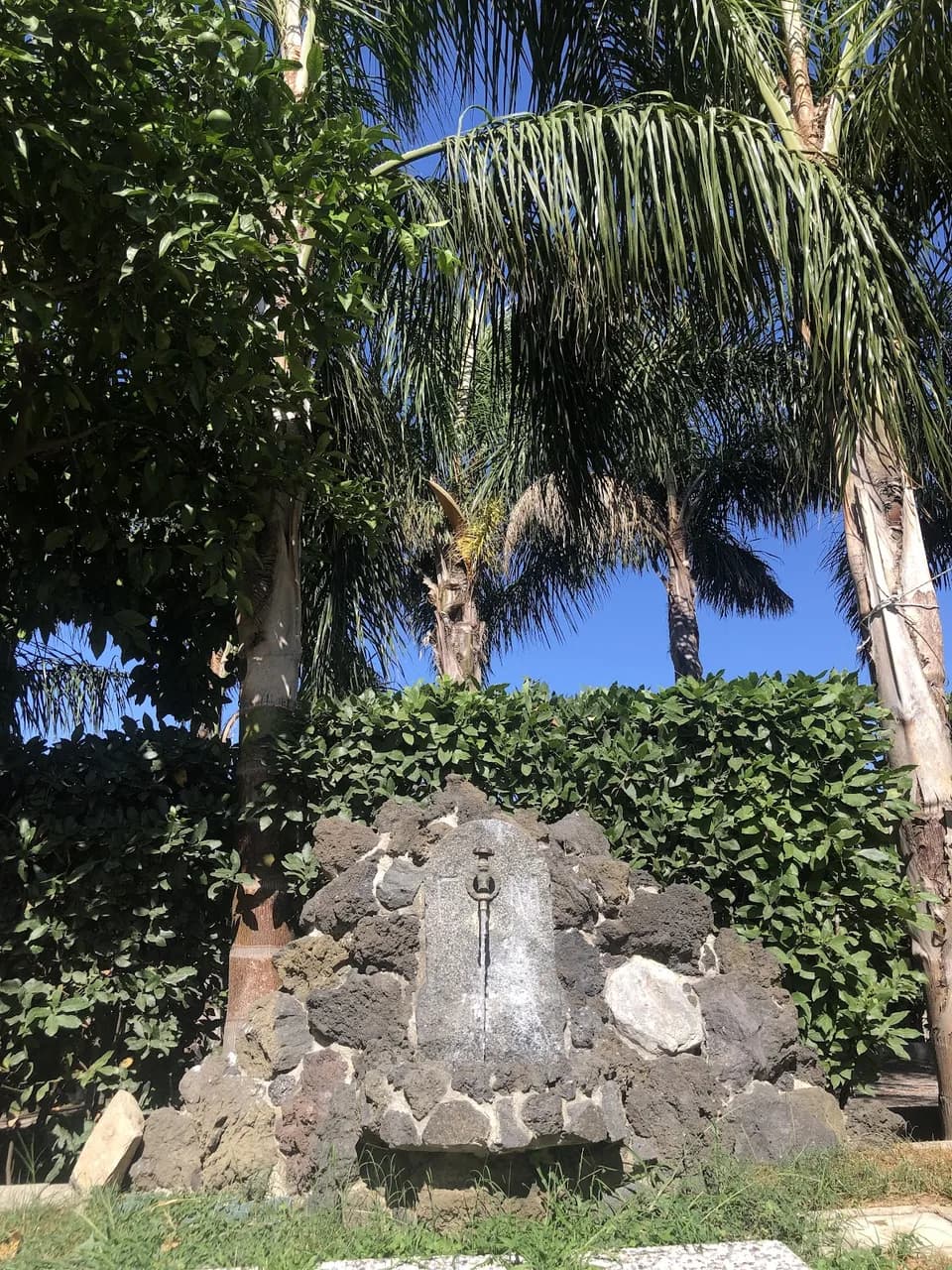 Green Oasis