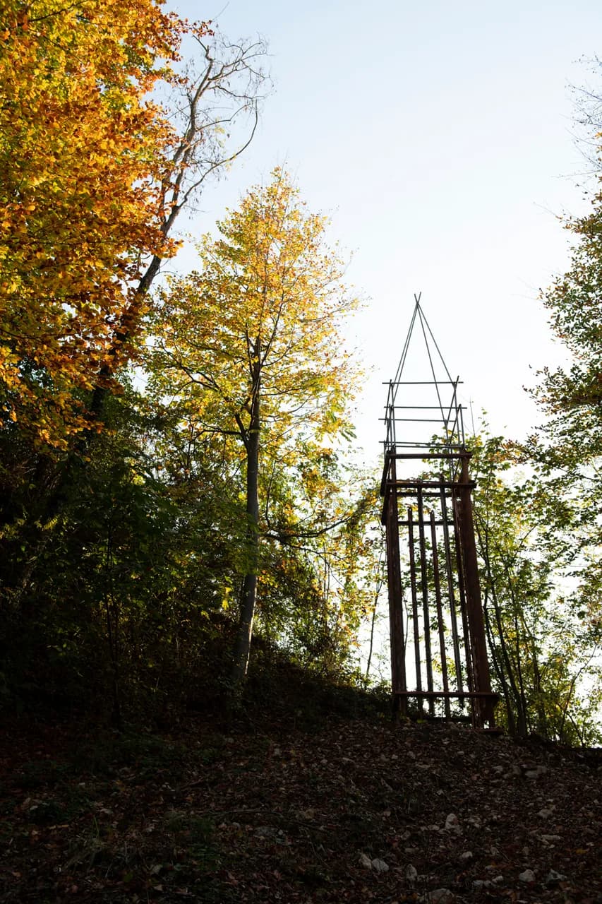 Il Bosco Dellarte