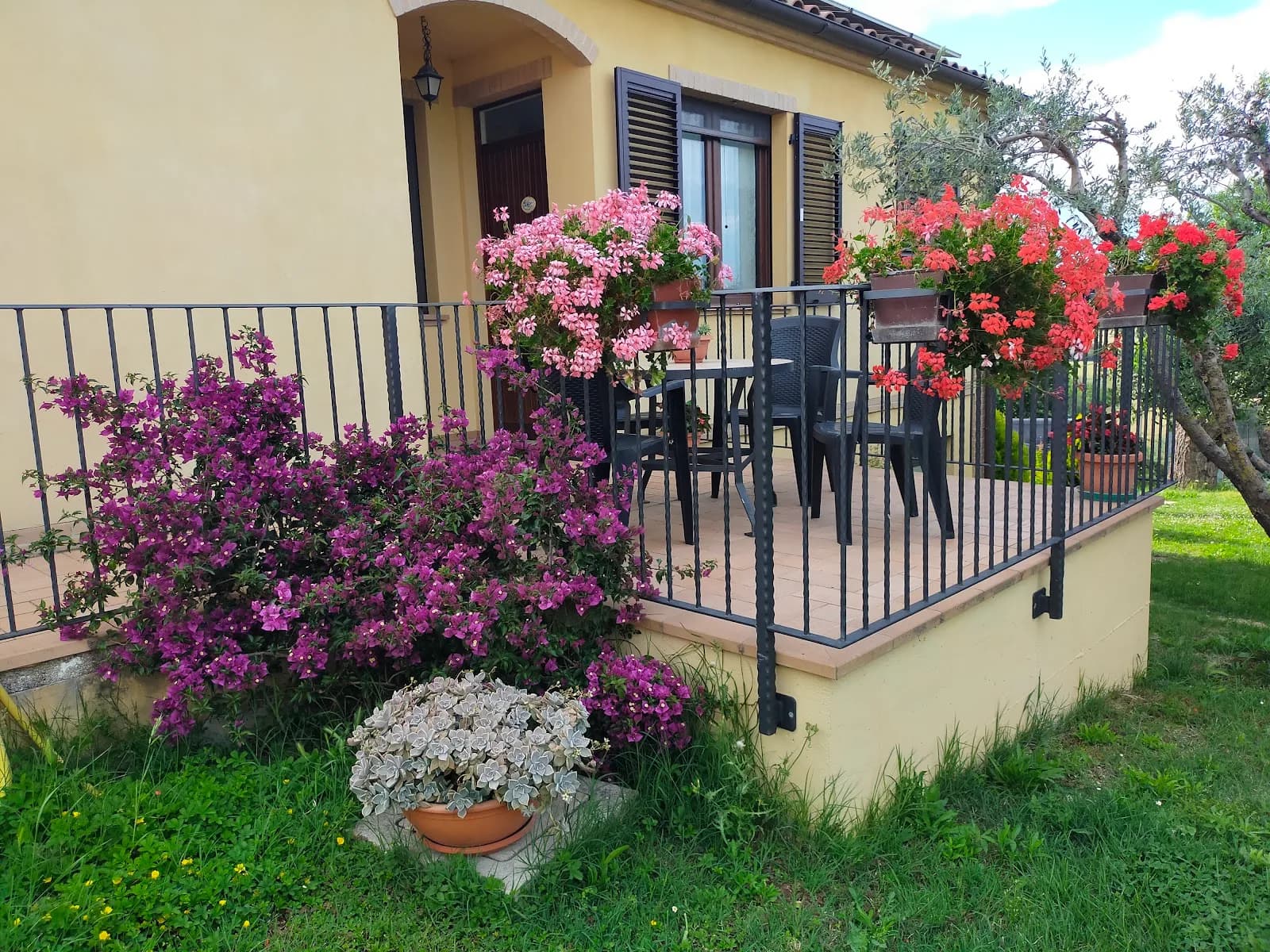 Il Giardino Degli Ulivi