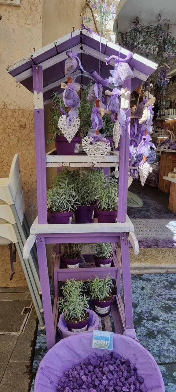 Lavanda Del Lago