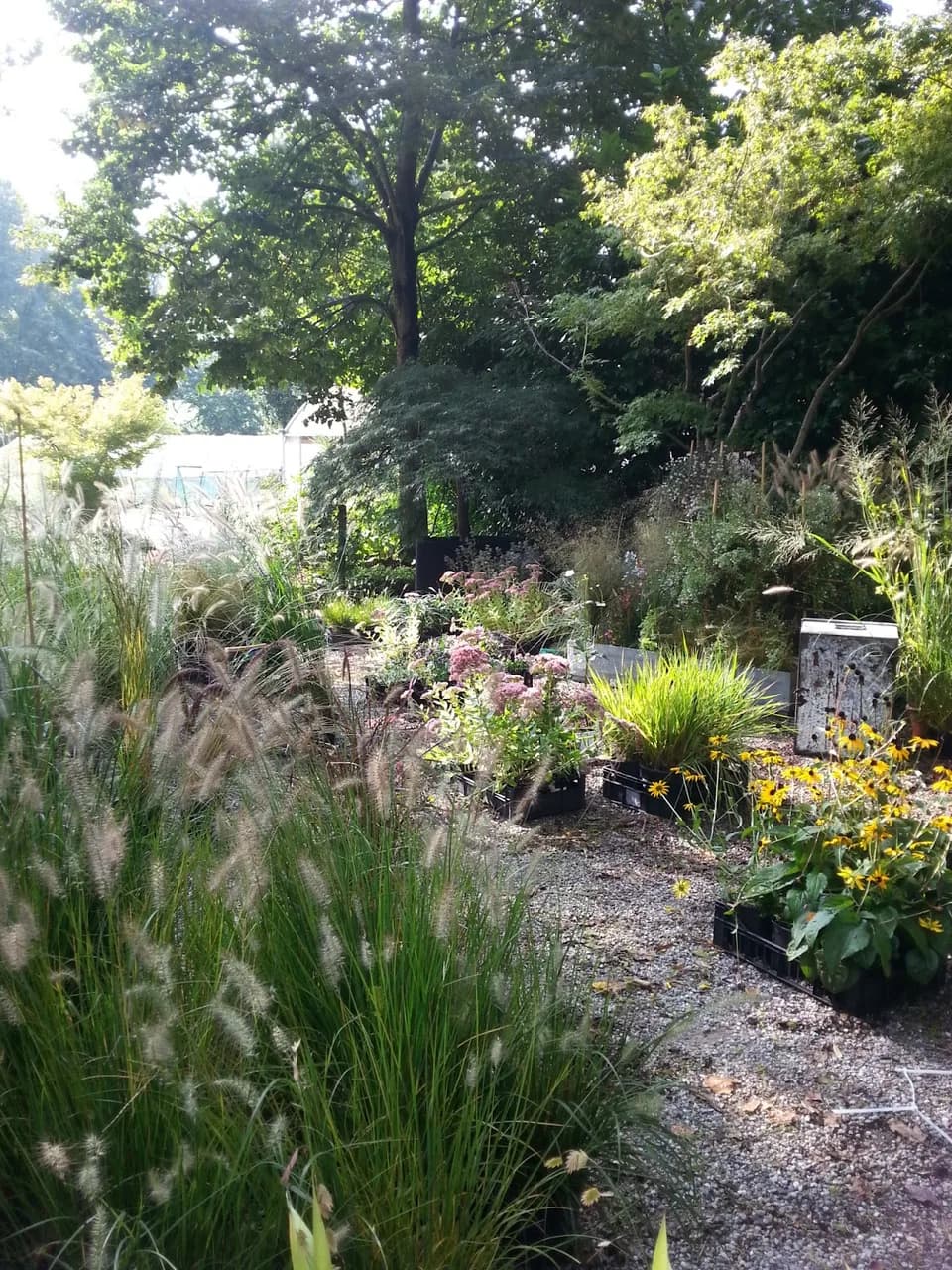 Location Giardino Leonelli