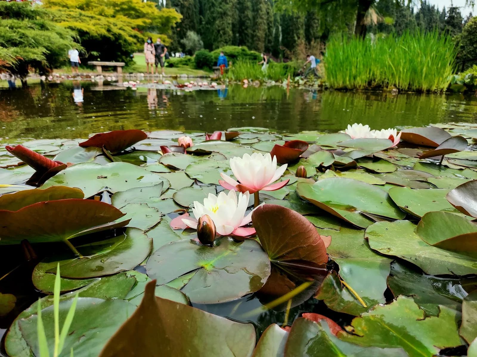 Parco Giardino Sigurta