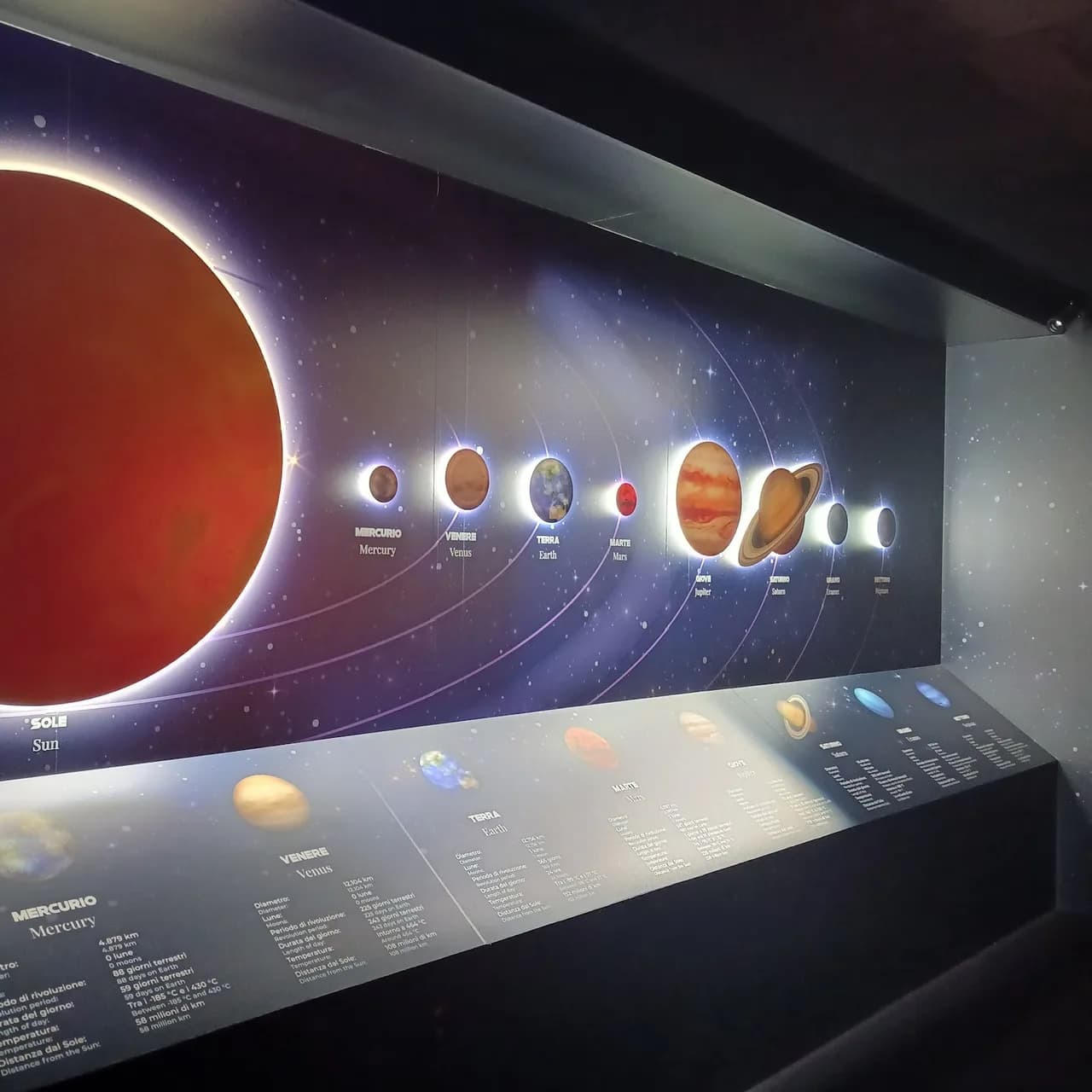 Space Dreamers