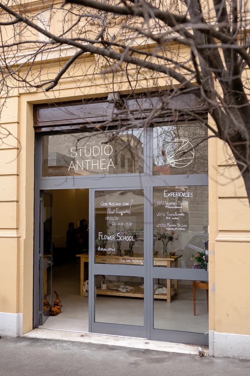 Studio Anthea