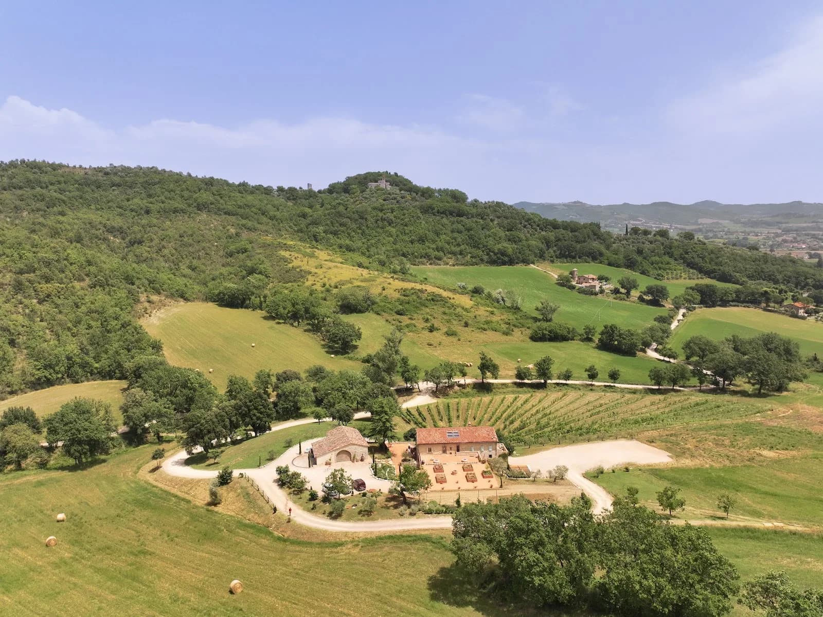 Tenuta Del Carmine