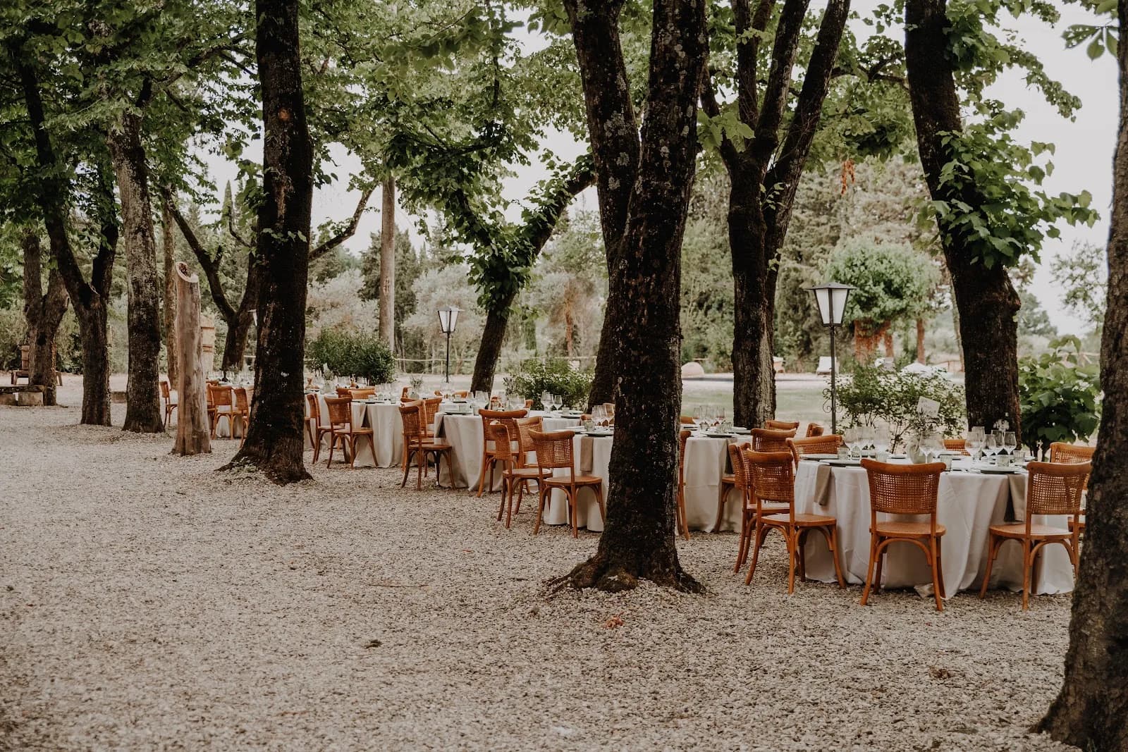 Tenuta Della Fargna