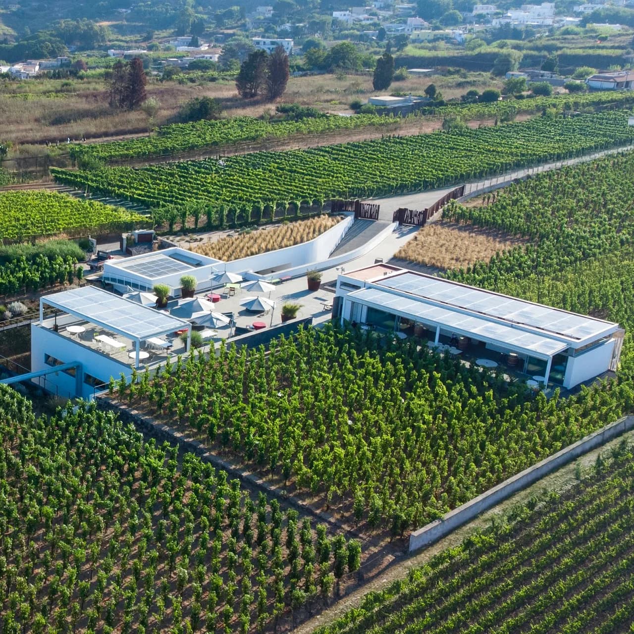 Tenuta Di Castellaro