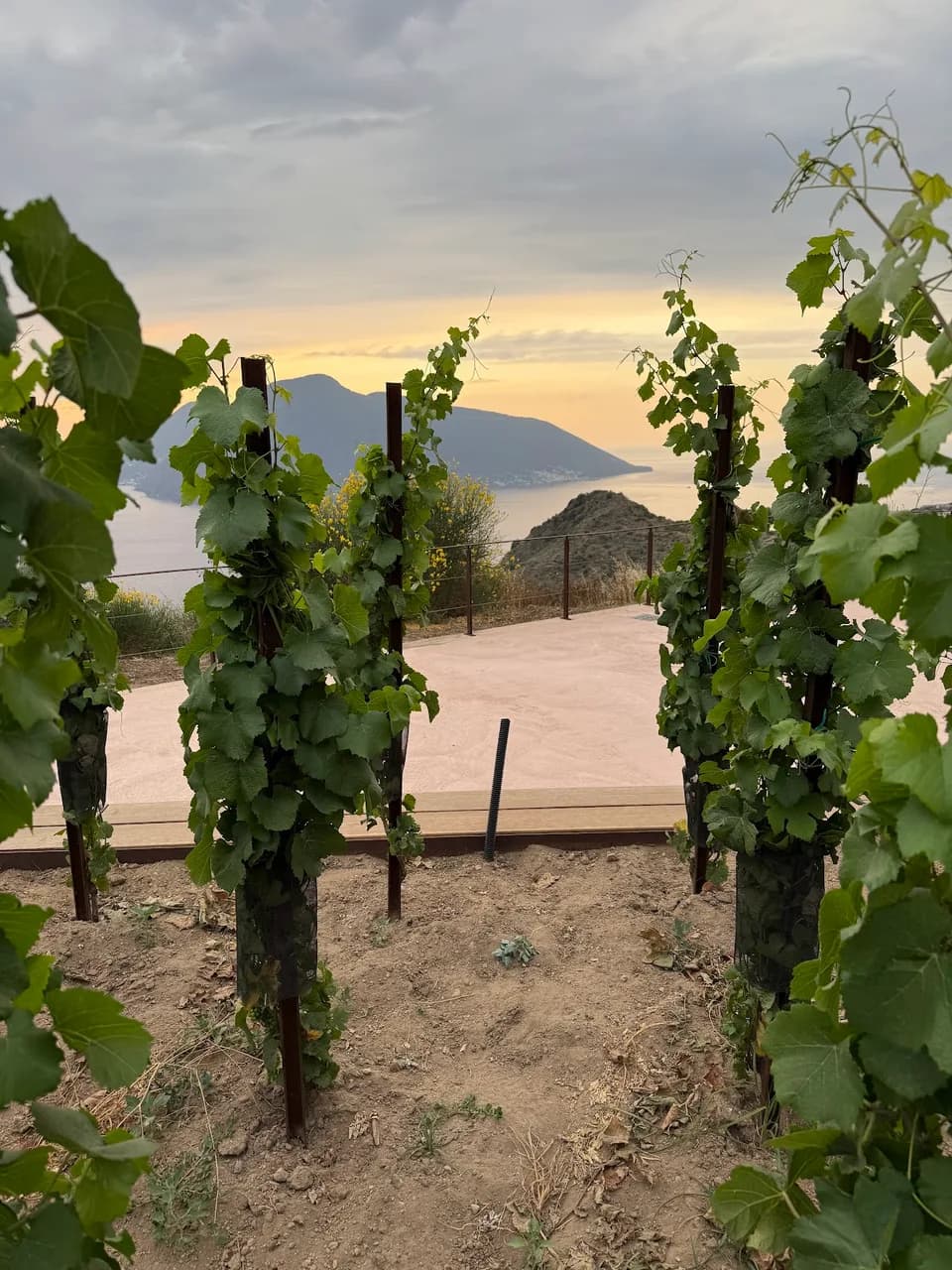 Tenuta Di Castellaro