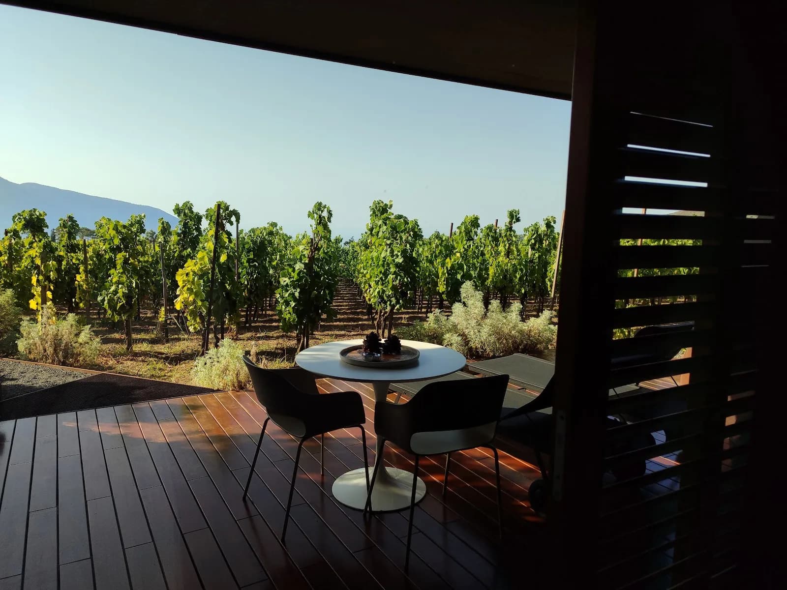 Tenuta Di Castellaro