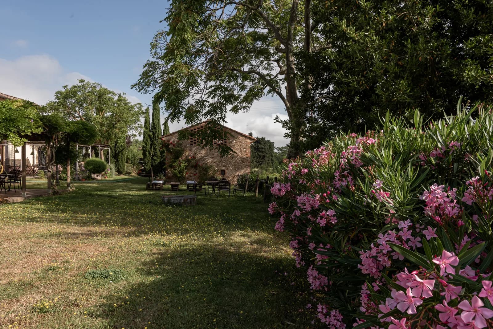Tenuta Il Corno