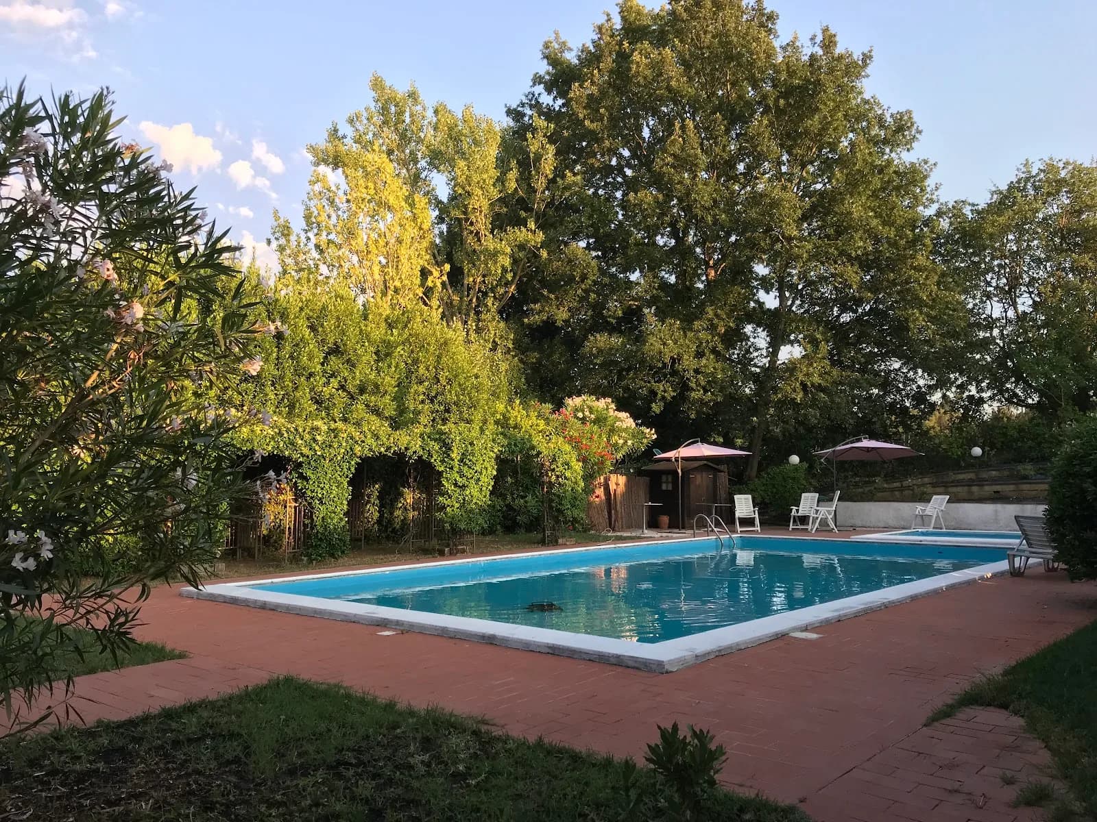 Tenuta Il Pino