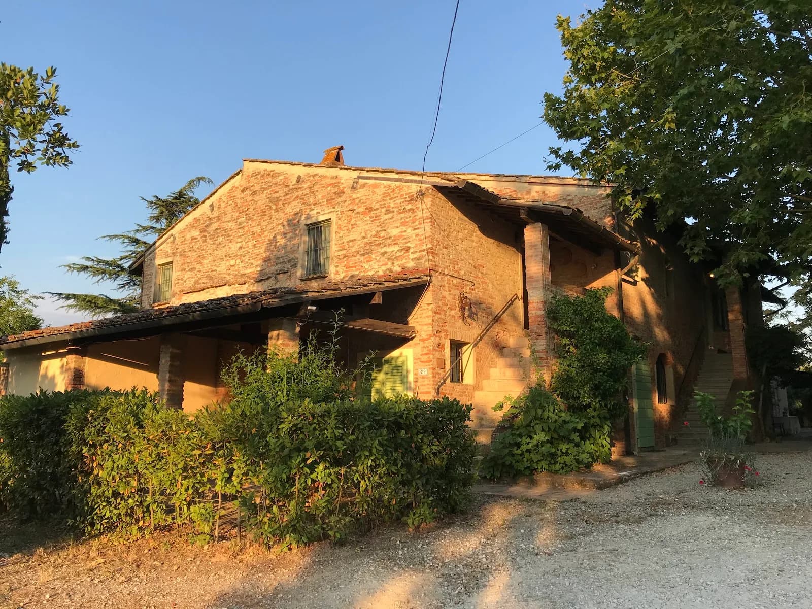 Tenuta Il Pino