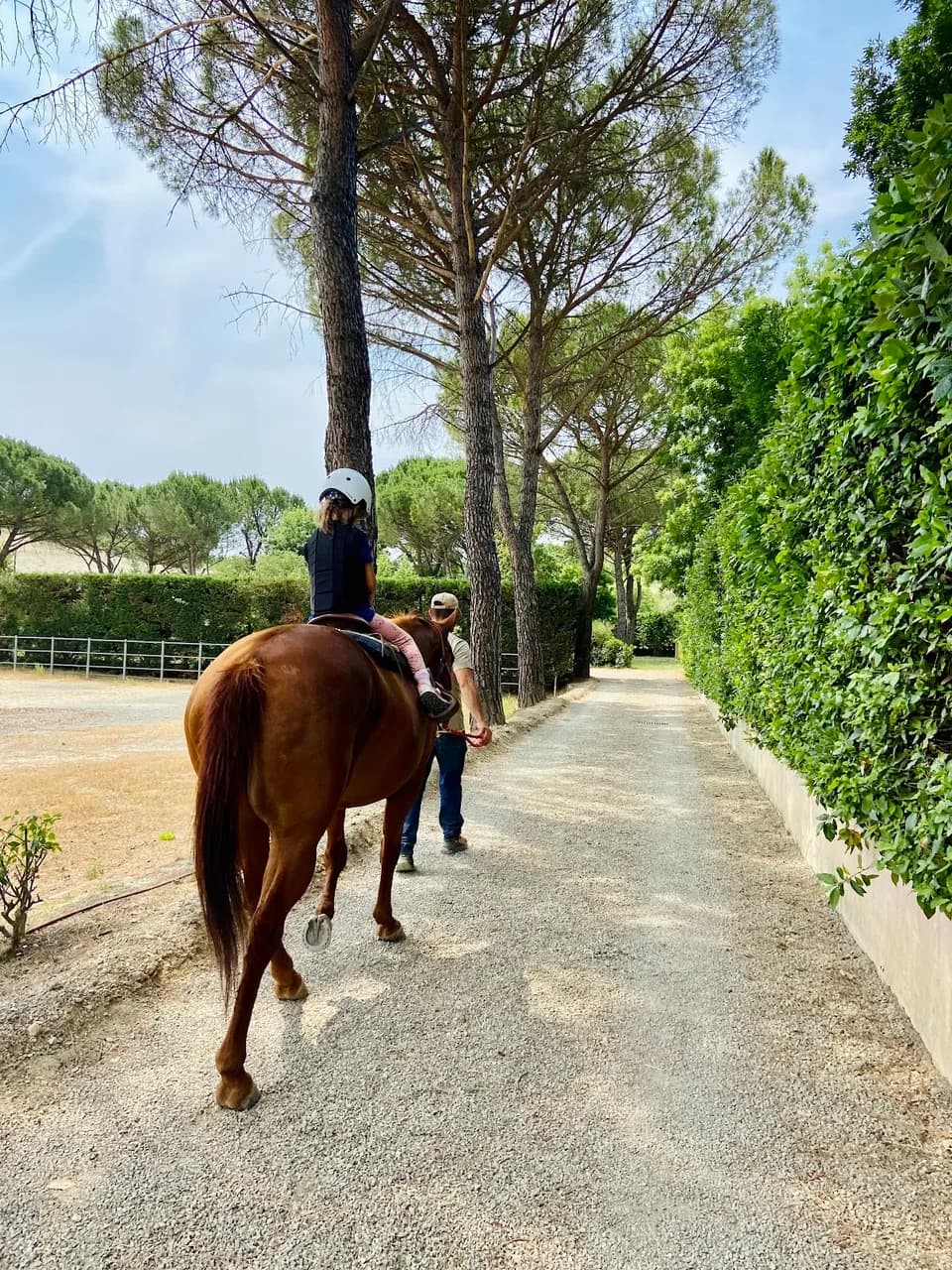 Tenuta La Canonica