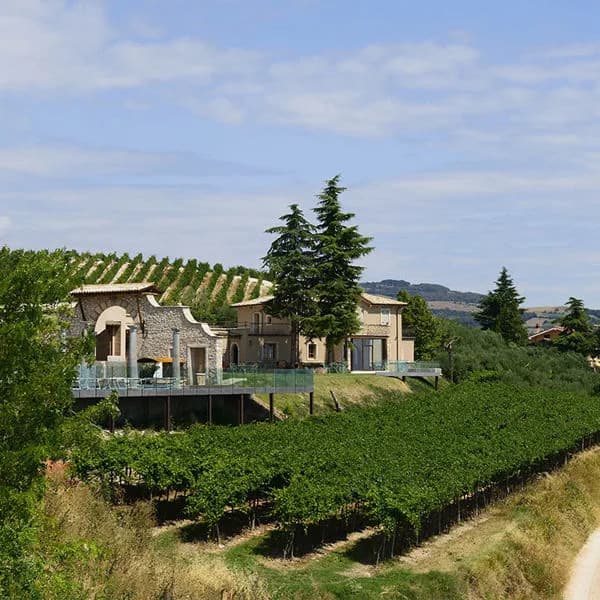 Tenuta Le Cave