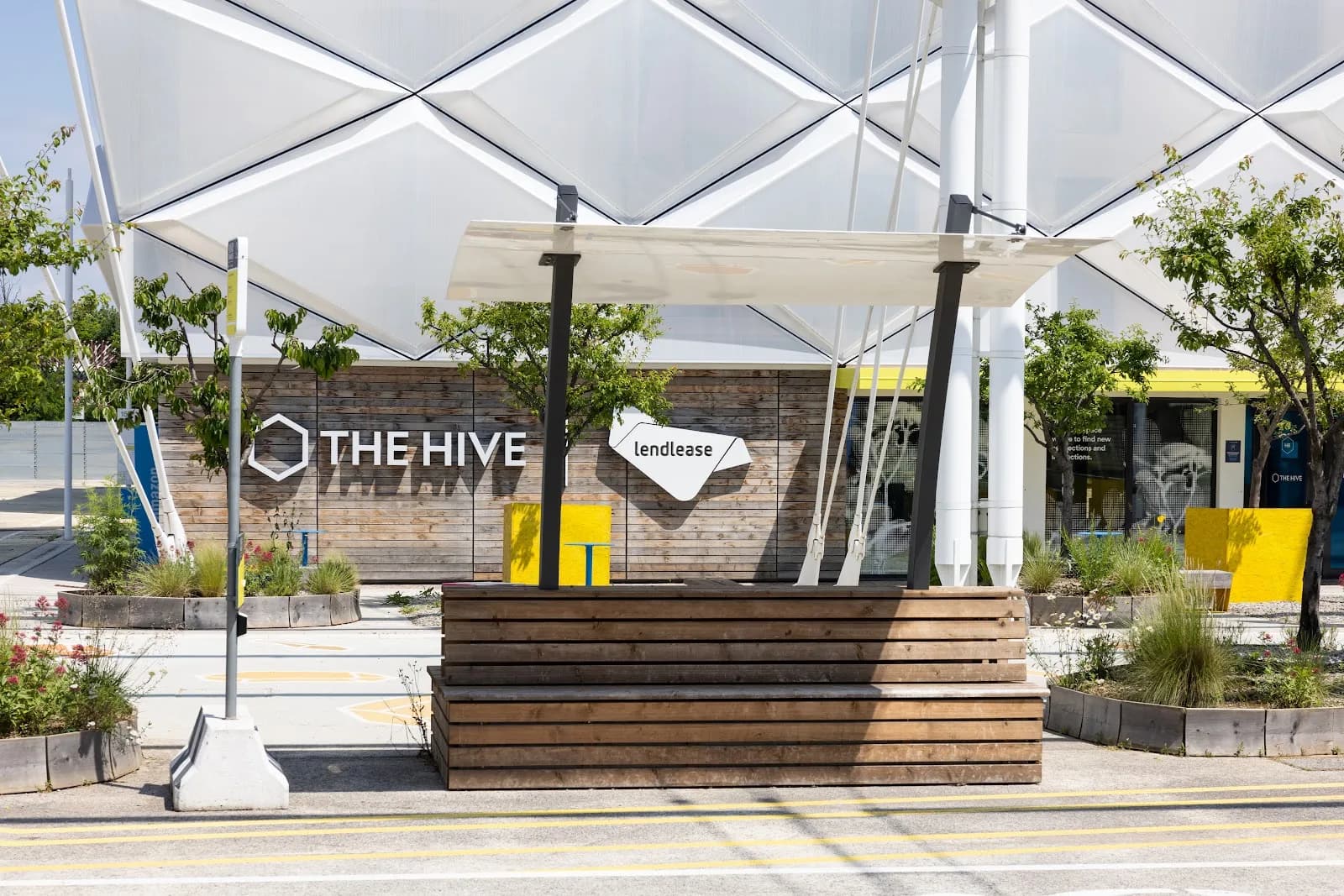 The Hive