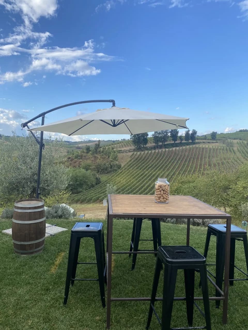 Zerbosco Wine Tasting