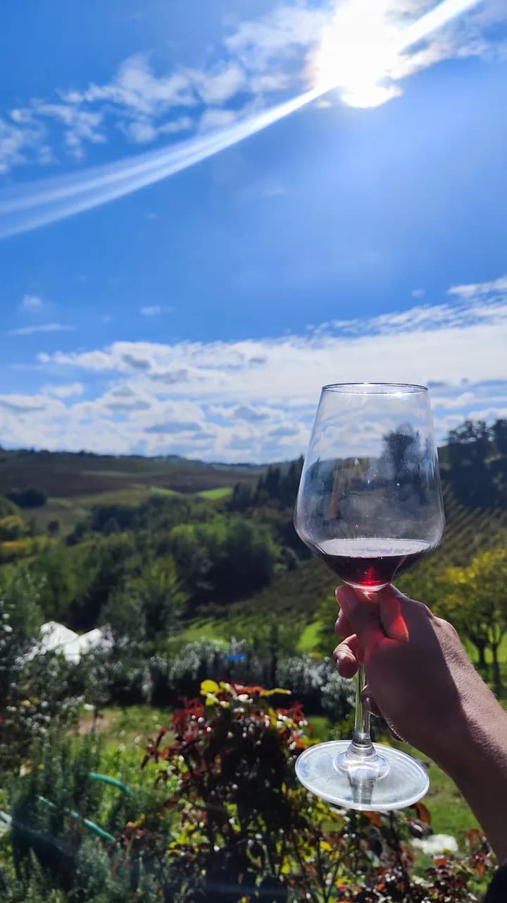 Zerbosco Wine Tasting