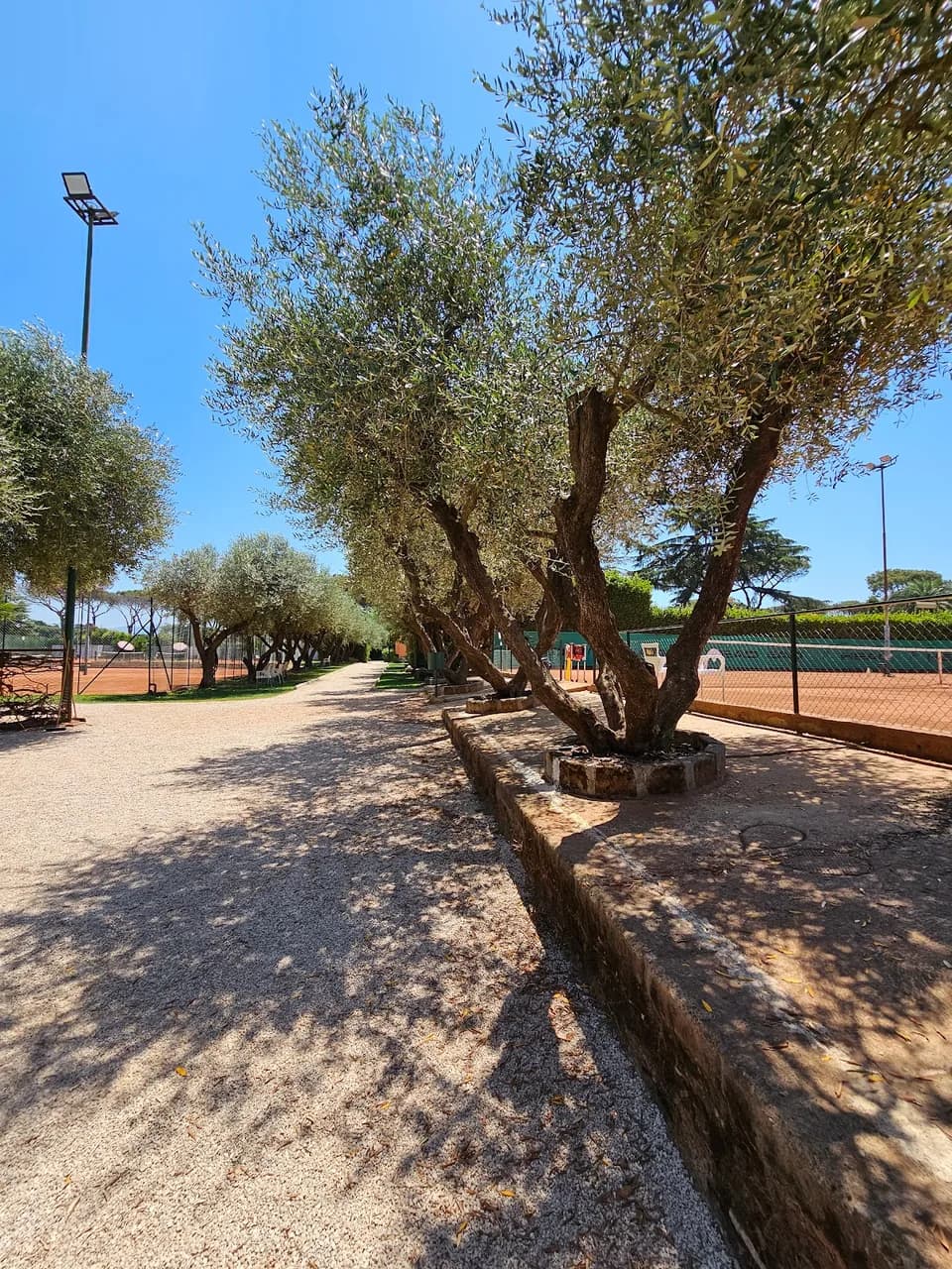 Oasi Di Pace Roma Appia