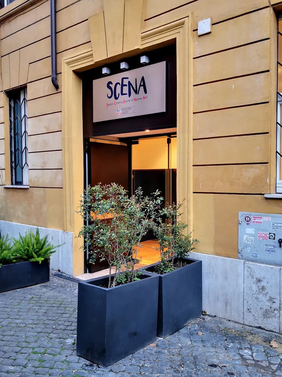 Colpo Di Scena