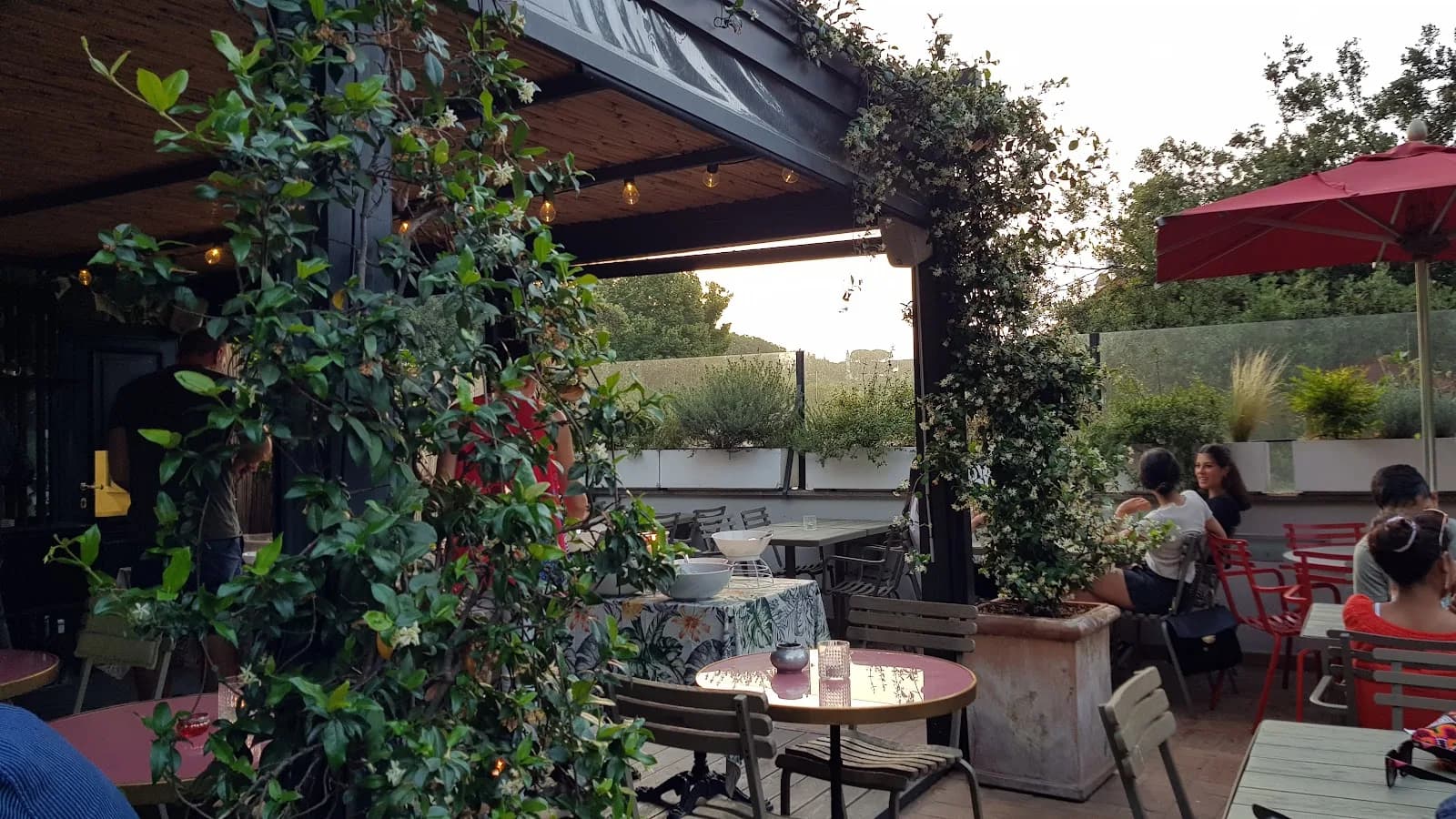 Terrazza Parrasio Trastevere