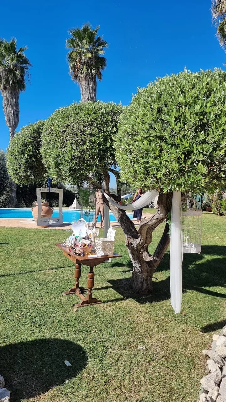 Tenuta dei Collacchi