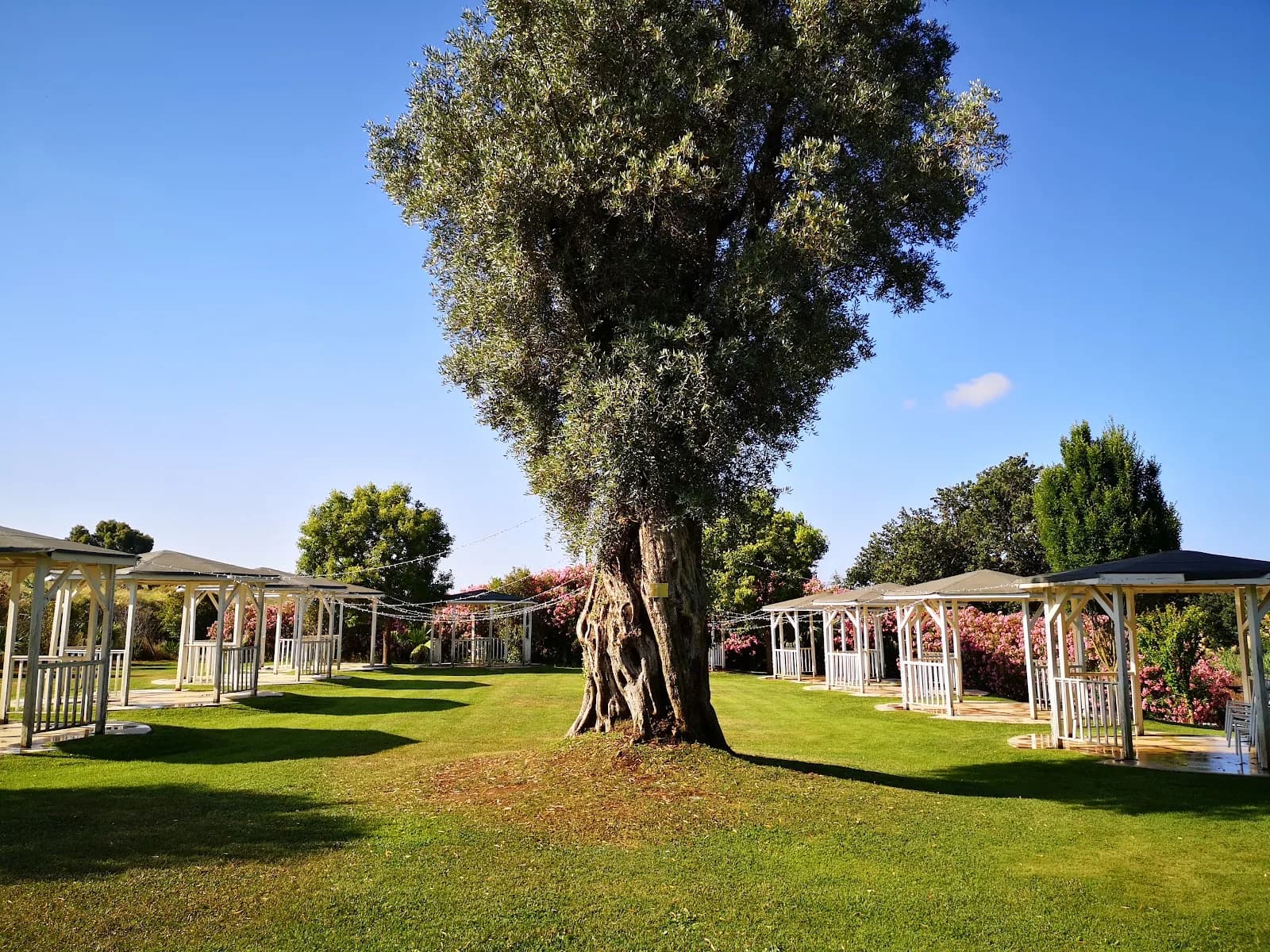 Villa i 4 Ricci