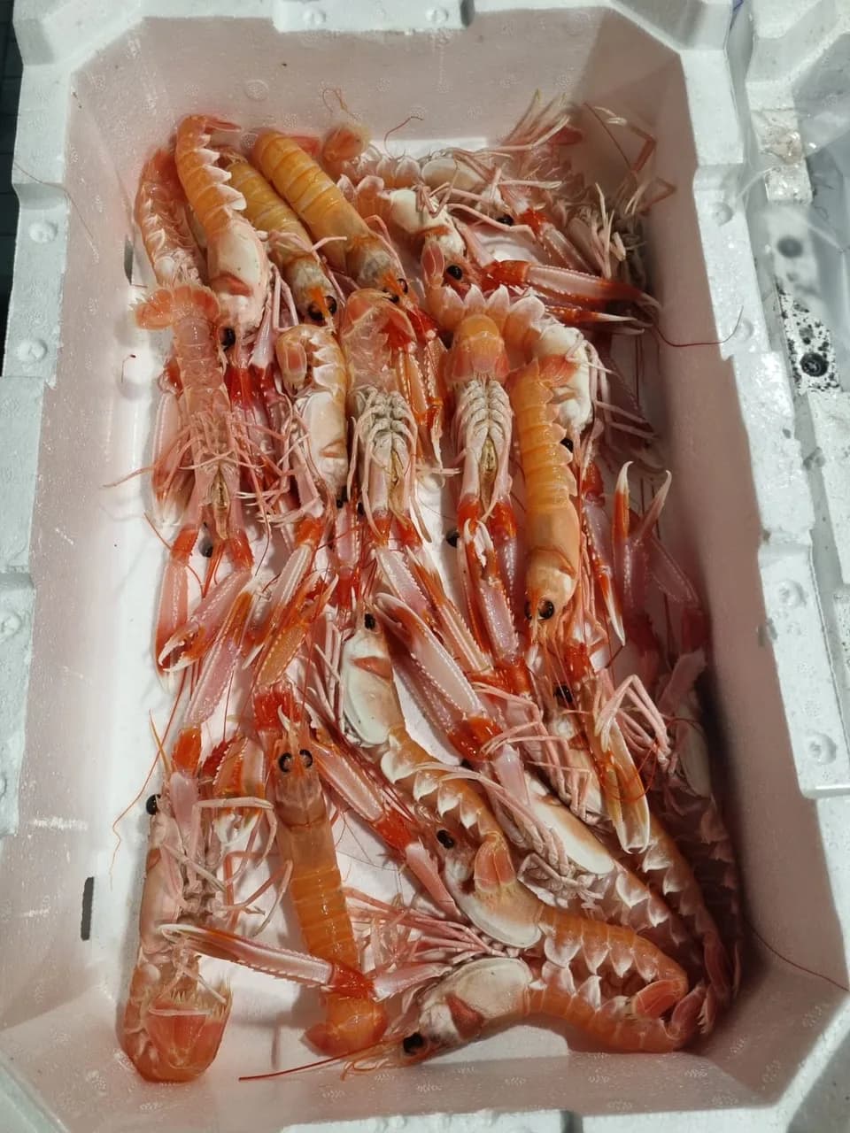 Ristorante L'Oasi