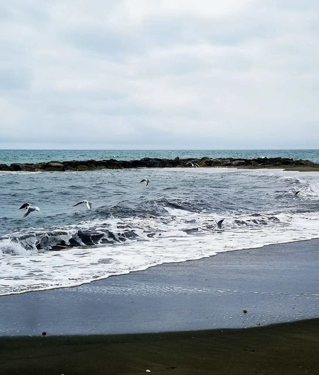 Scorpion Bay Beach