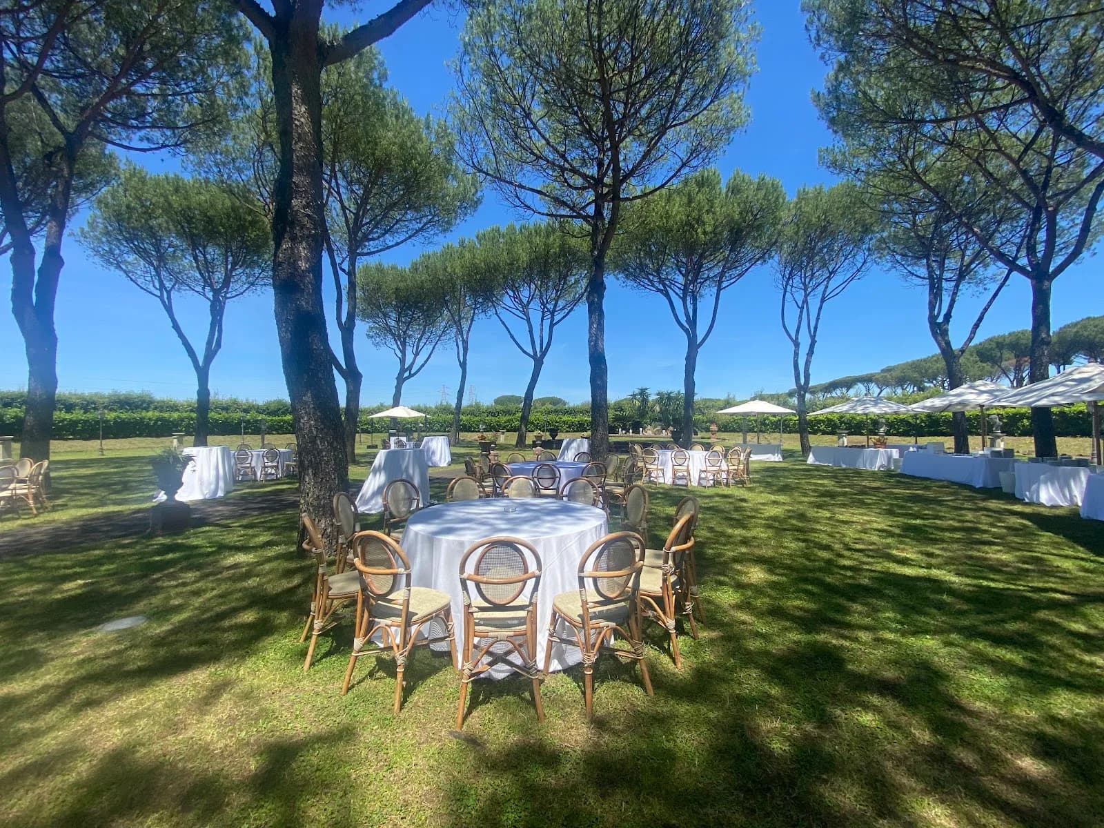 Casale T&A