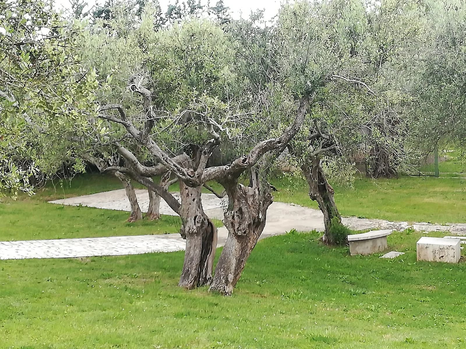 Villa Nur