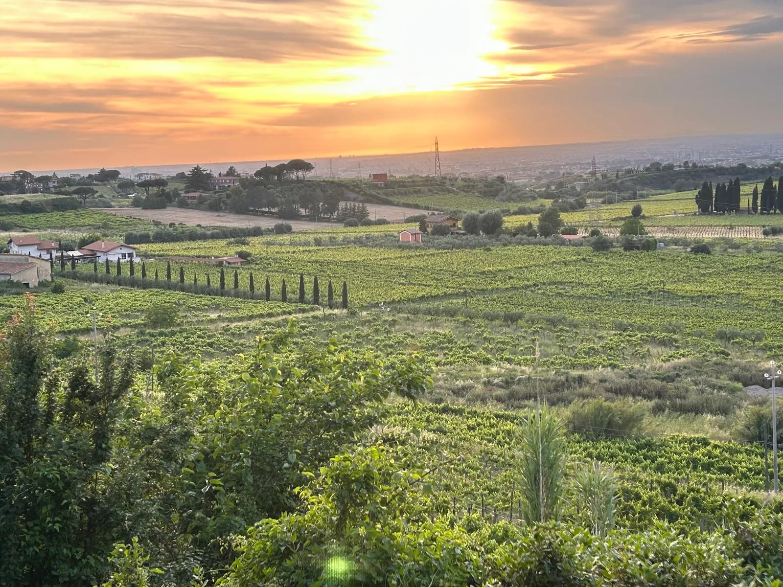 Merumalia Wine Loft