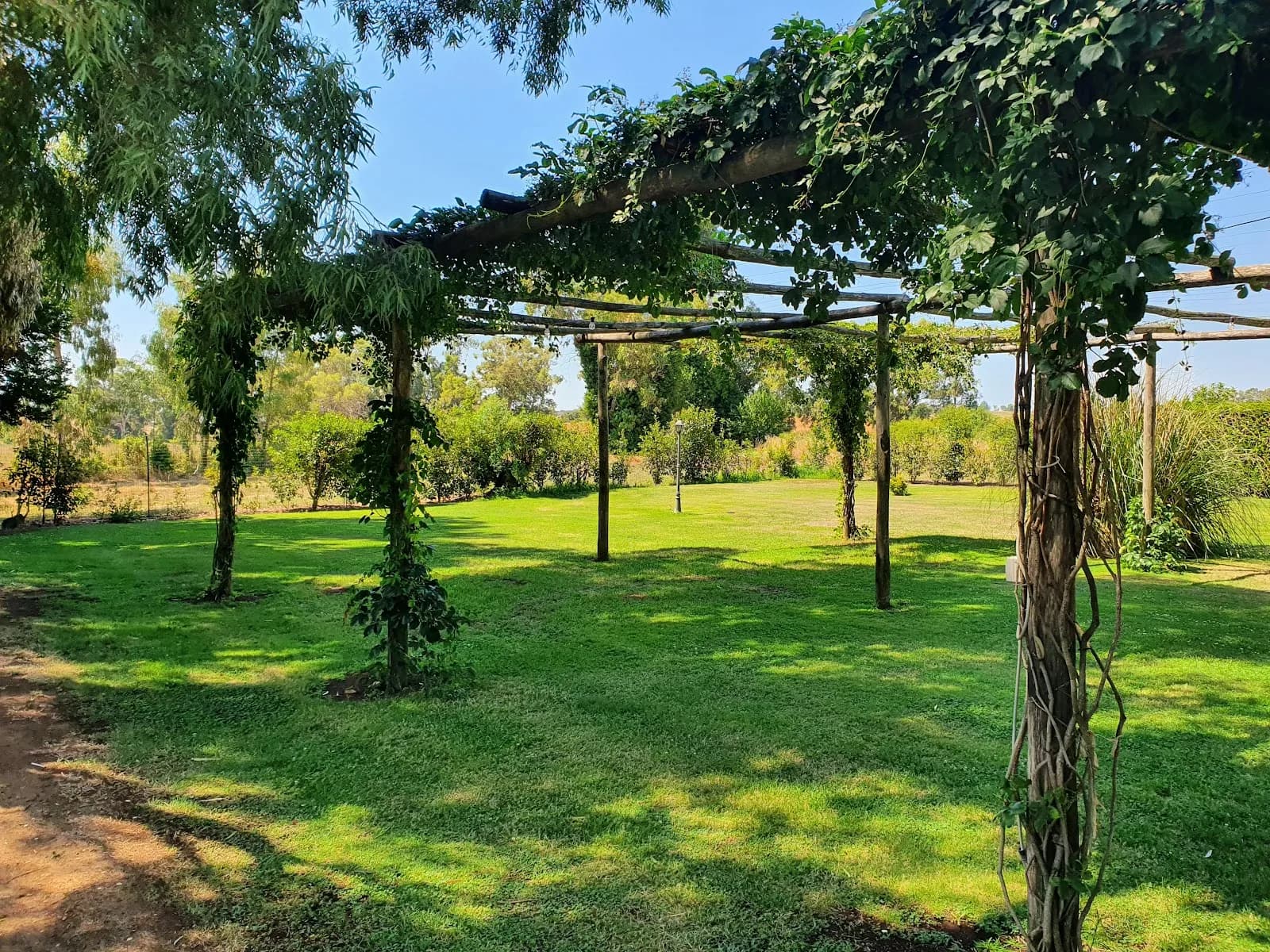 Tenuta dell'Olmo