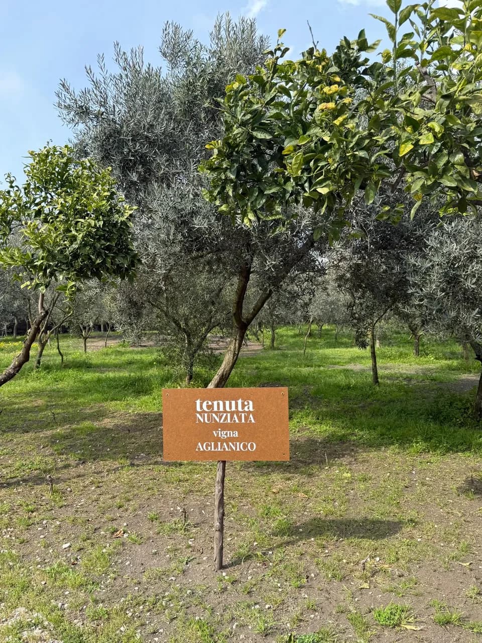 Tenuta Nunziata