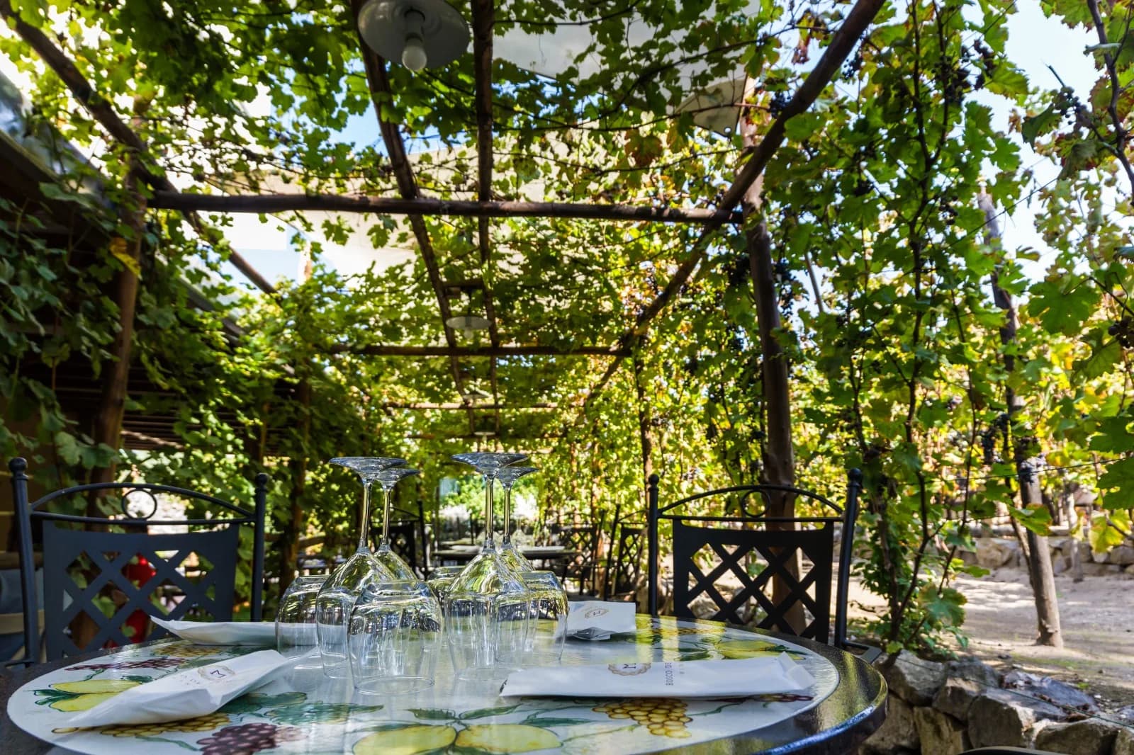 Bosco de' Medici Wine Resort