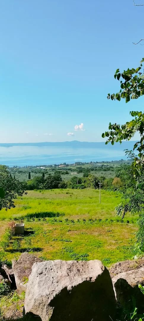 Tenuta Belvedere