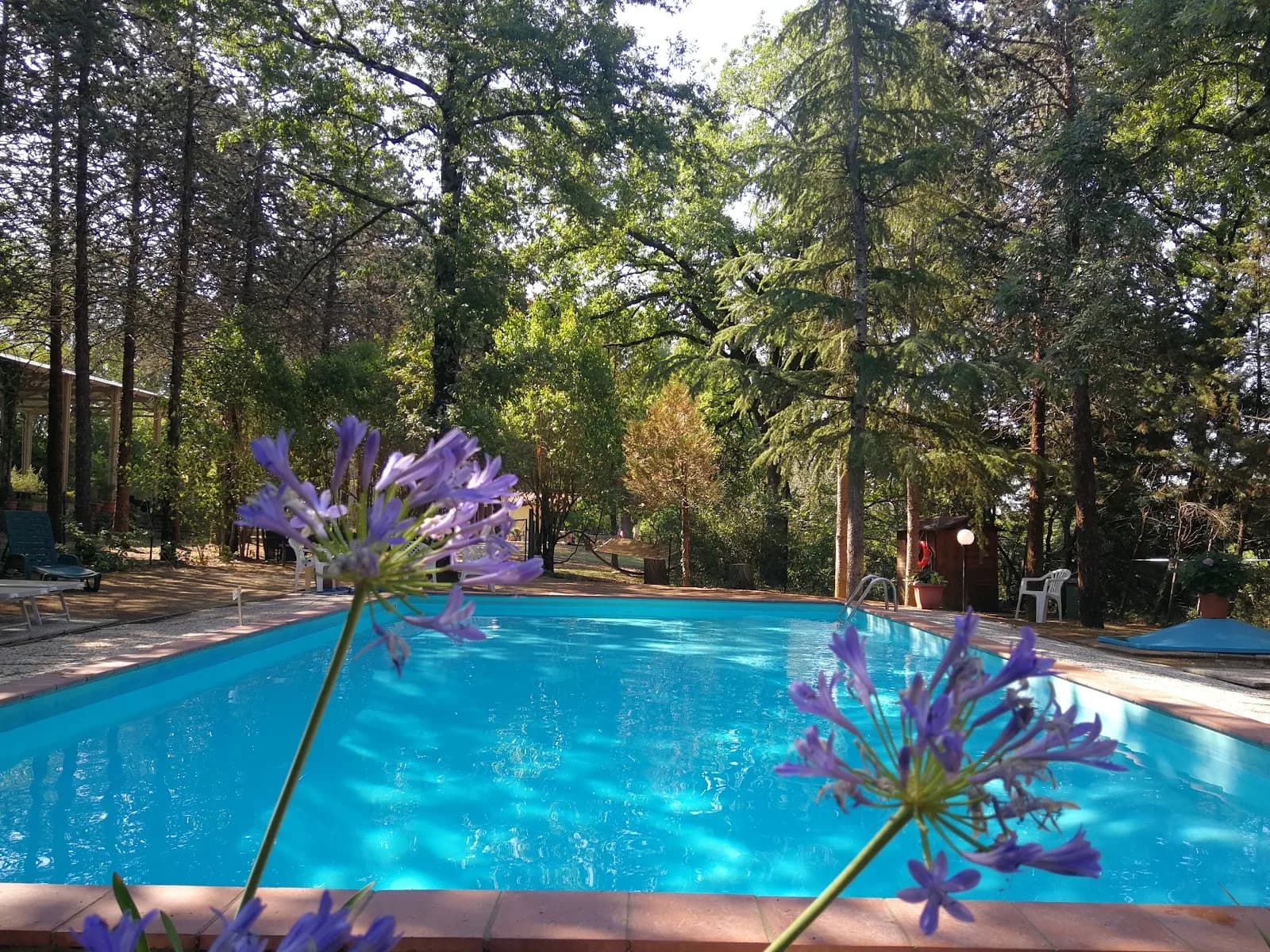 Agriturismo Il Pornelleto