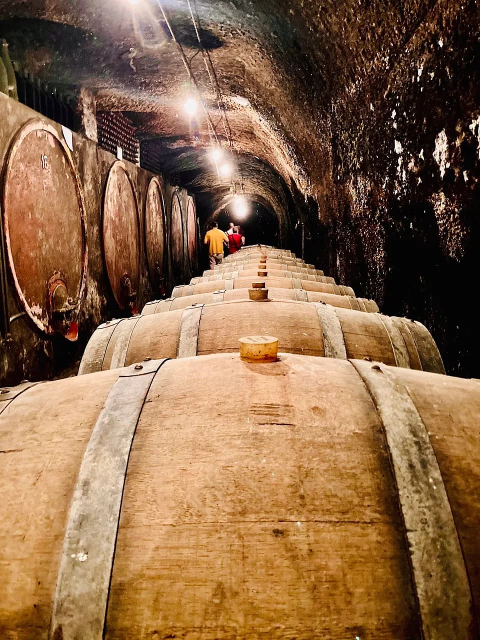 Antica Cantina Leonardi