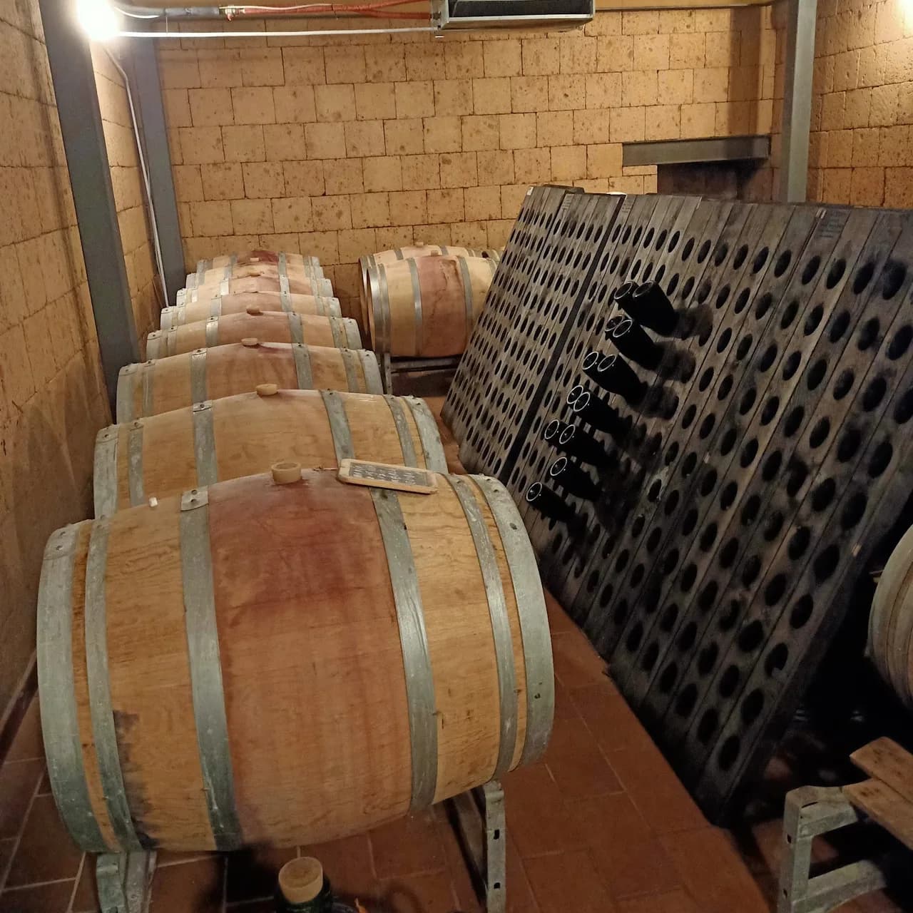 Antica Cantina Leonardi